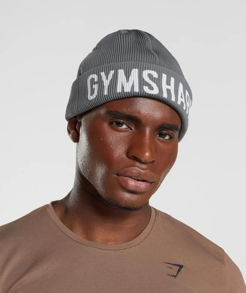 Beanies Gymshark Seamless Docker Beanie Grises | 064732-GNB