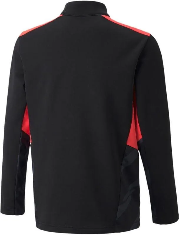 Camiseta de manga larga Puma individualCUP Training 1/4 Z