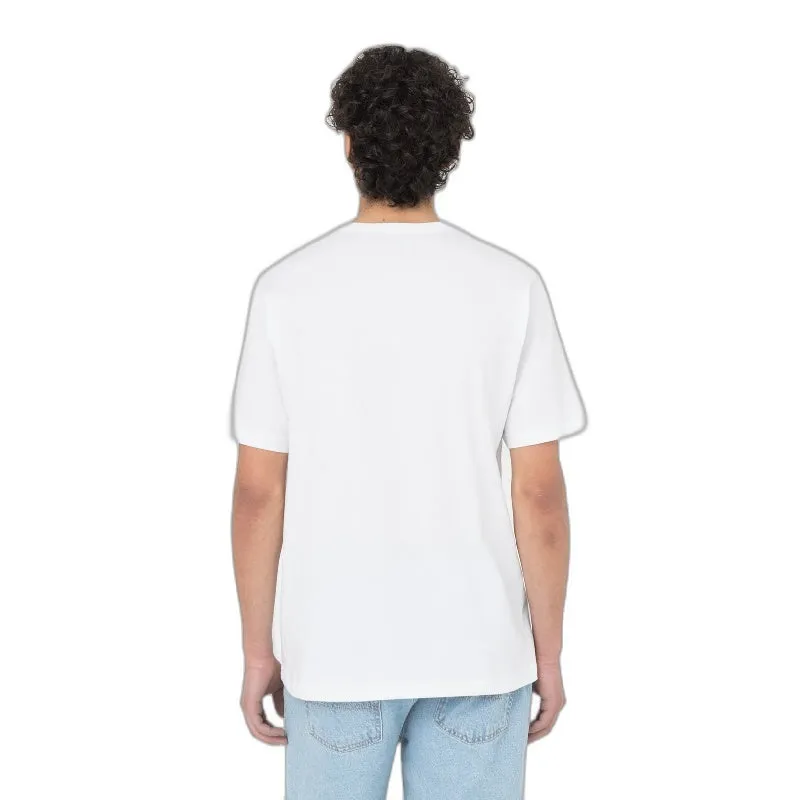  Camisetas manga corta Dickies Aitkin Tee Wht Apple Mint