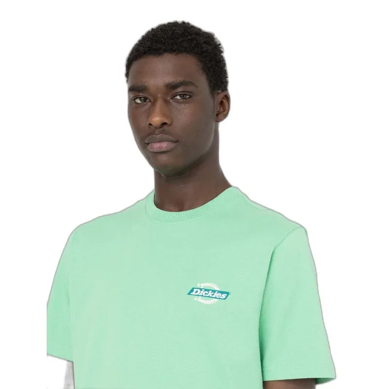  Camisetas manga corta Dickies Ss Ruston Tee Apple Mint